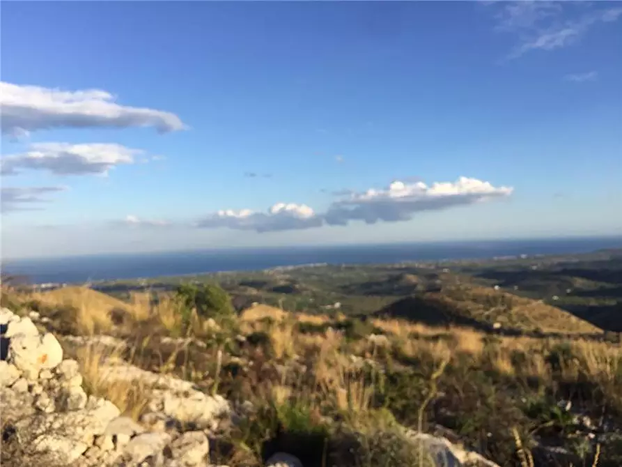 Immagine 3 di Terreno in vendita  in Loc. SANT' ELIA, SN a Avola
