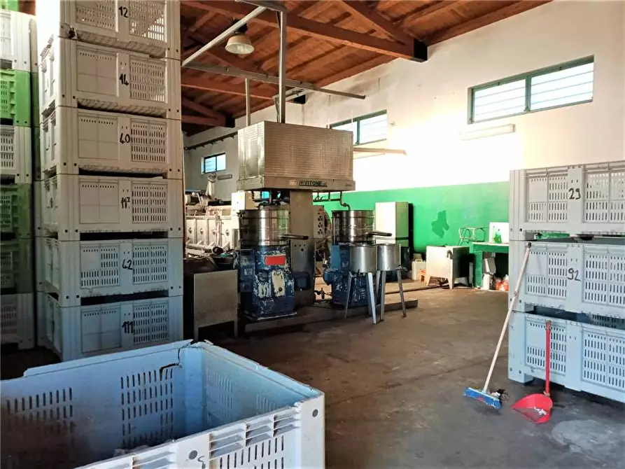 Immagine 11 di Capannone industriale in vendita  in Loc. C/DA PORTELLI, SN a Noto