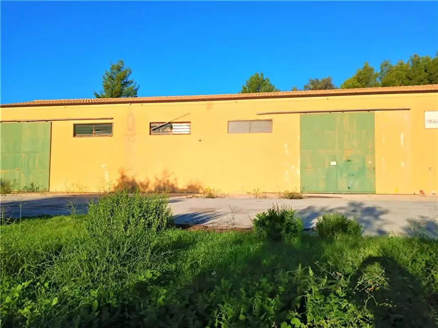 Immagine 3 di Capannone industriale in vendita  in Loc. C/DA PORTELLI, SN a Noto