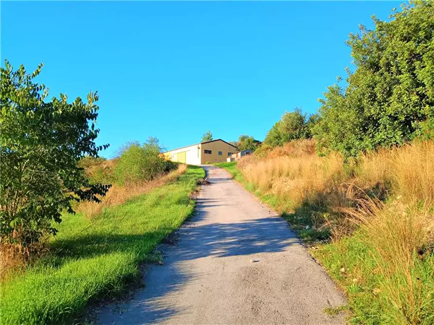 Immagine 5 di Capannone industriale in vendita  in Loc. C/DA PORTELLI, SN a Noto