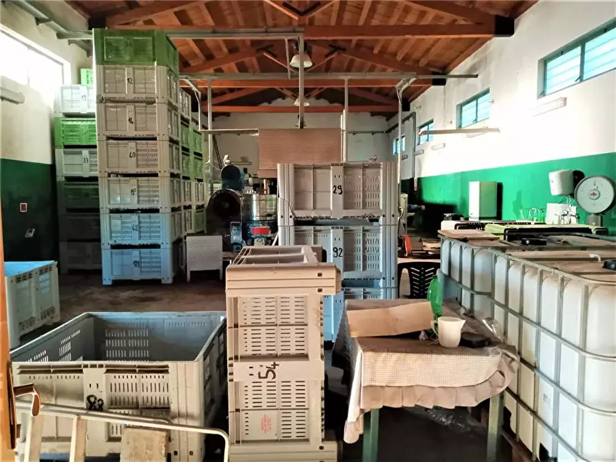 Immagine 9 di Capannone industriale in vendita  in Loc. C/DA PORTELLI, SN a Noto
