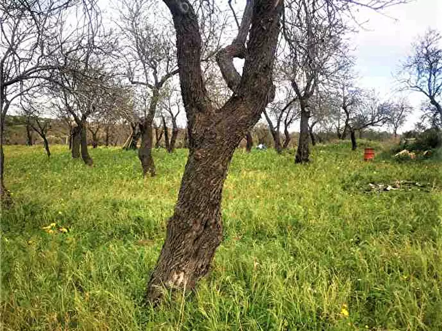 Immagine 12 di Rustico / casale in vendita  in Loc. CDA Vaddeddi, SN a Noto