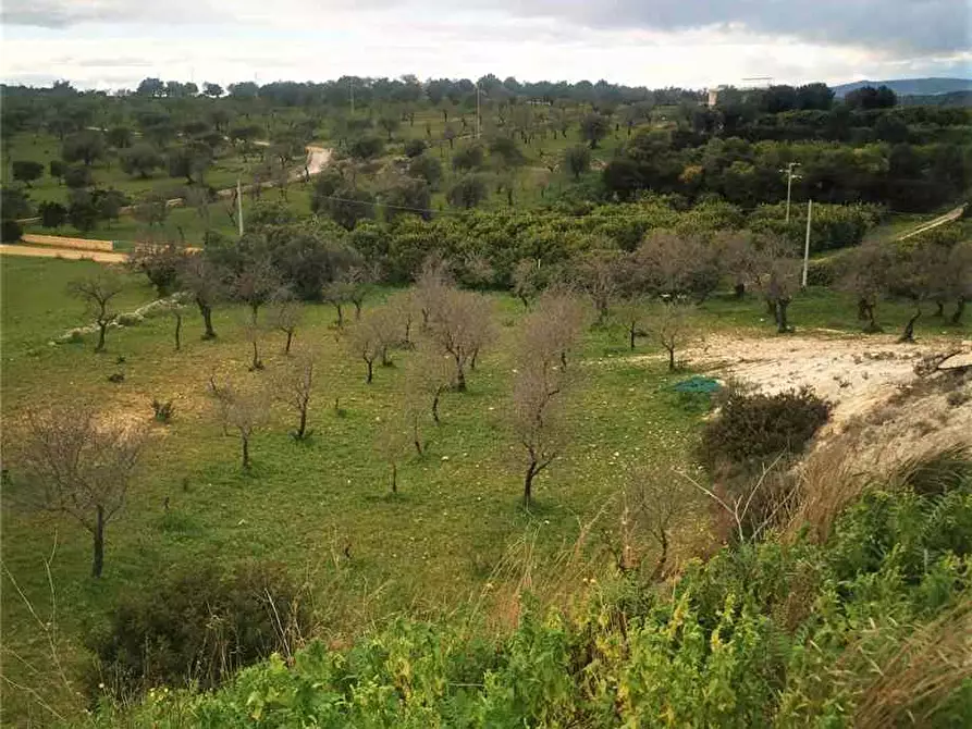 Immagine 4 di Rustico / casale in vendita  in Loc. CDA Vaddeddi, SN a Noto