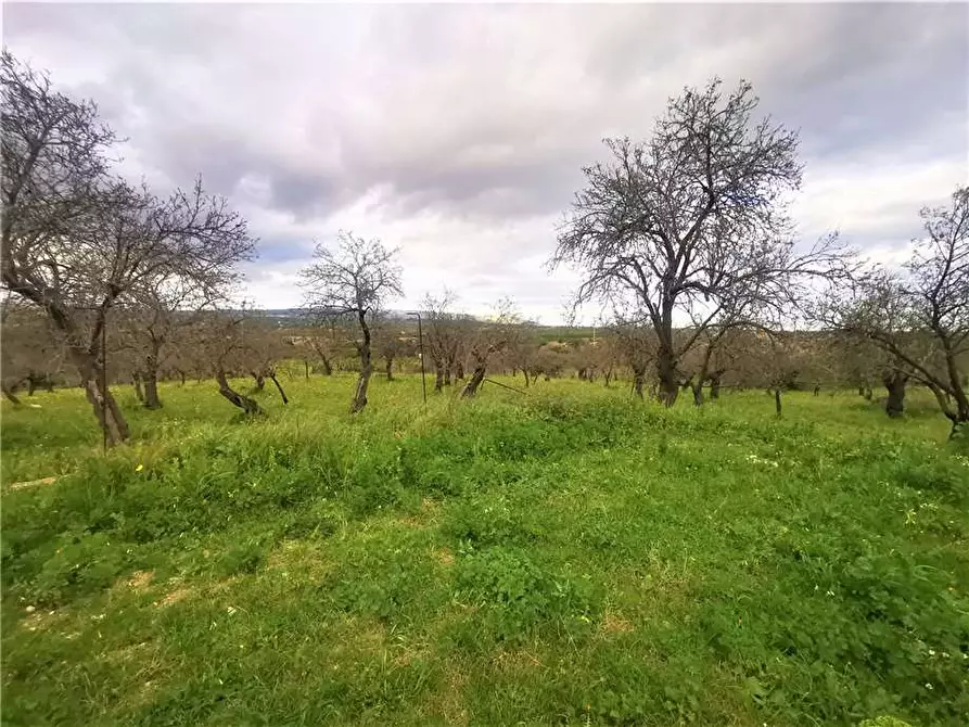 Immagine 5 di Rustico / casale in vendita  in Loc. CDA Vaddeddi, SN a Noto