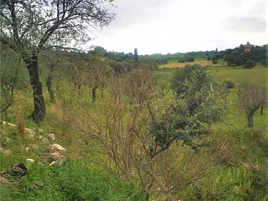 Immagine 8 di Rustico / casale in vendita  in Loc. CDA Vaddeddi, SN a Noto