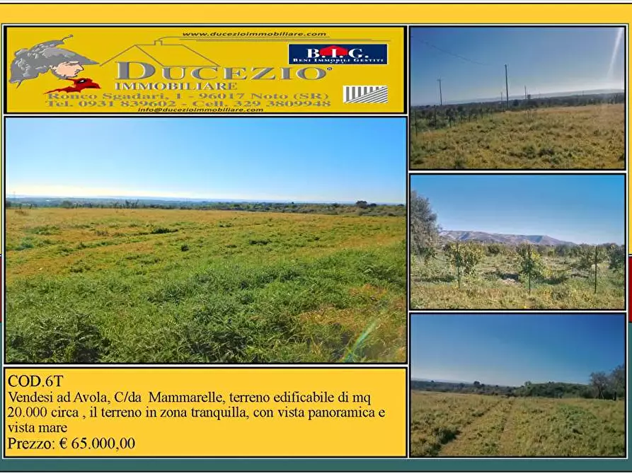 Immagine 1 di Terreno in vendita  in Loc. C/DA  Mammarelle a Avola