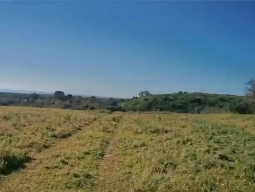 Immagine 3 di Terreno in vendita  in Loc. C/DA  Mammarelle a Avola