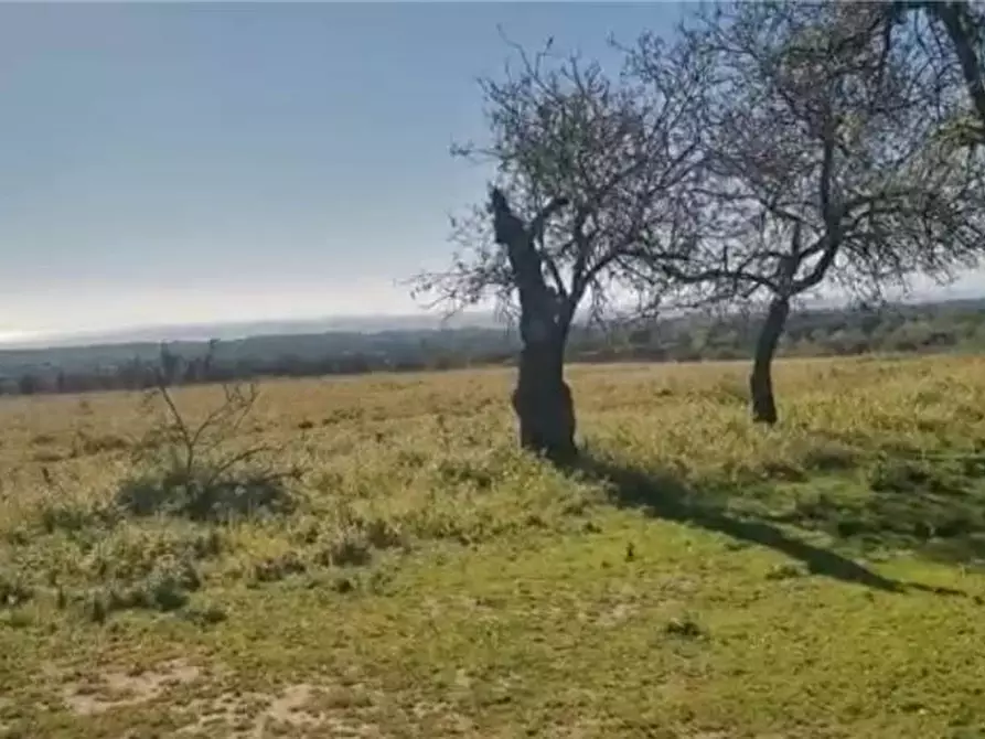 Immagine 4 di Terreno in vendita  in Loc. C/DA  Mammarelle a Avola