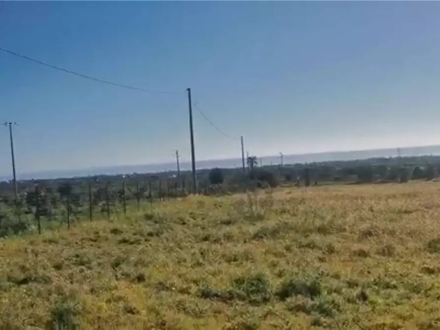 Immagine 5 di Terreno in vendita  in Loc. C/DA  Mammarelle a Avola