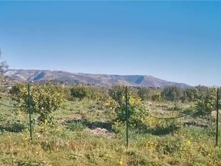 Immagine 6 di Terreno in vendita  in Loc. C/DA  Mammarelle a Avola