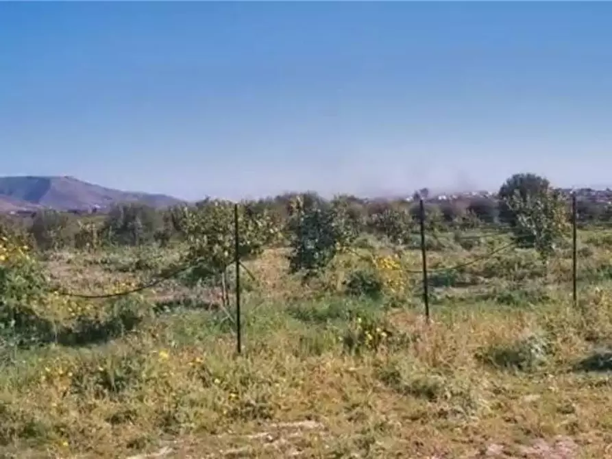 Immagine 7 di Terreno in vendita  in Loc. C/DA  Mammarelle a Avola