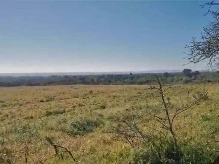 Immagine 8 di Terreno in vendita  in Loc. C/DA  Mammarelle a Avola