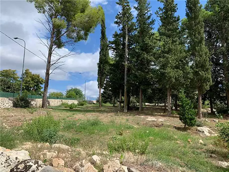 Immagine 12 di Villa in vendita  in Loc. SANT' ELIA a Noto