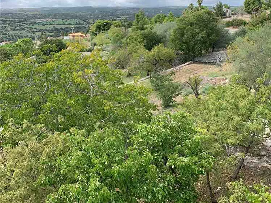 Immagine 13 di Villa in vendita  in Loc. SANT' ELIA a Noto