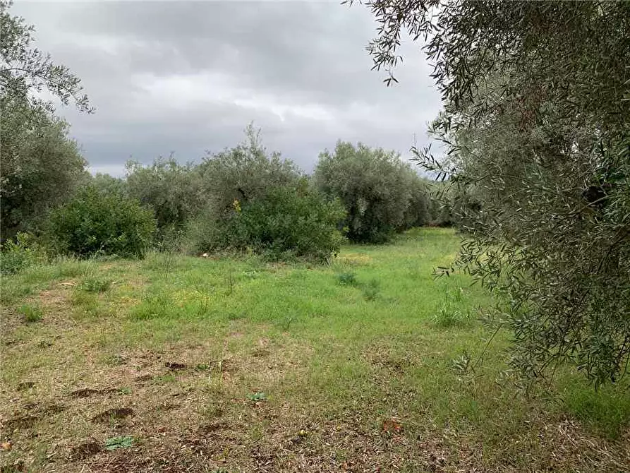 Immagine 2 di Terreno in vendita  in Loc. Piano Milo, sn a Noto