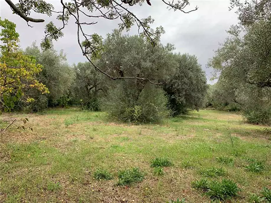 Immagine 3 di Terreno in vendita  in Loc. Piano Milo, sn a Noto