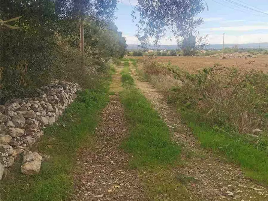 Immagine 8 di Terreno in vendita  in Loc. Strada Tremilia, SN a Siracusa