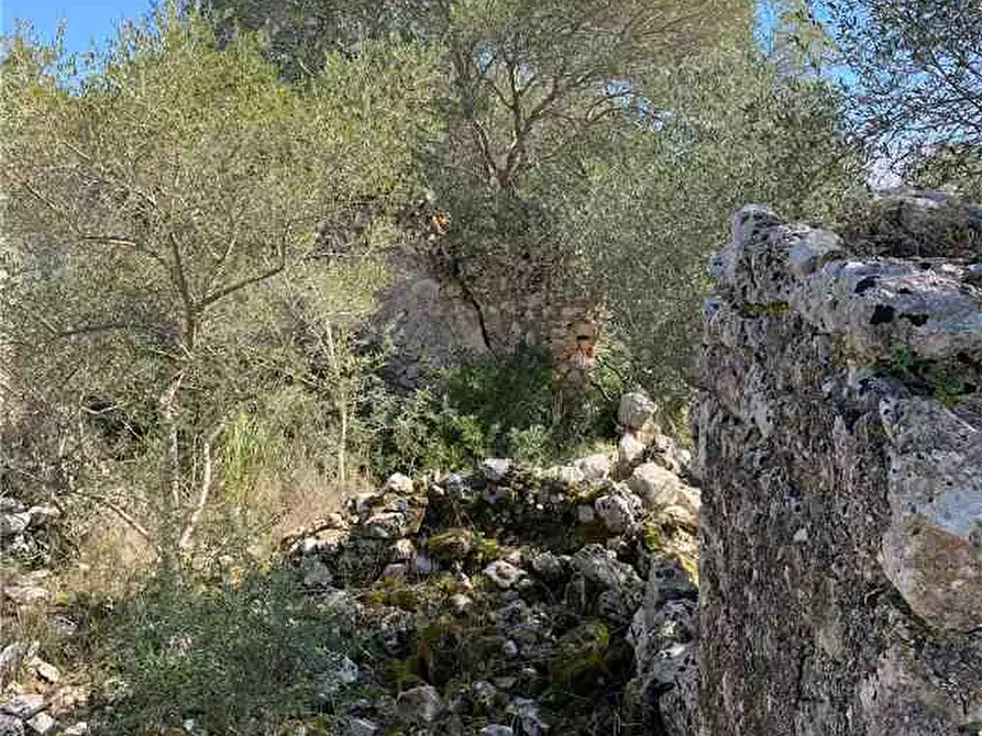 Immagine 8 di Terreno in vendita  in Loc. AVOLA ANTICA, SN a Avola