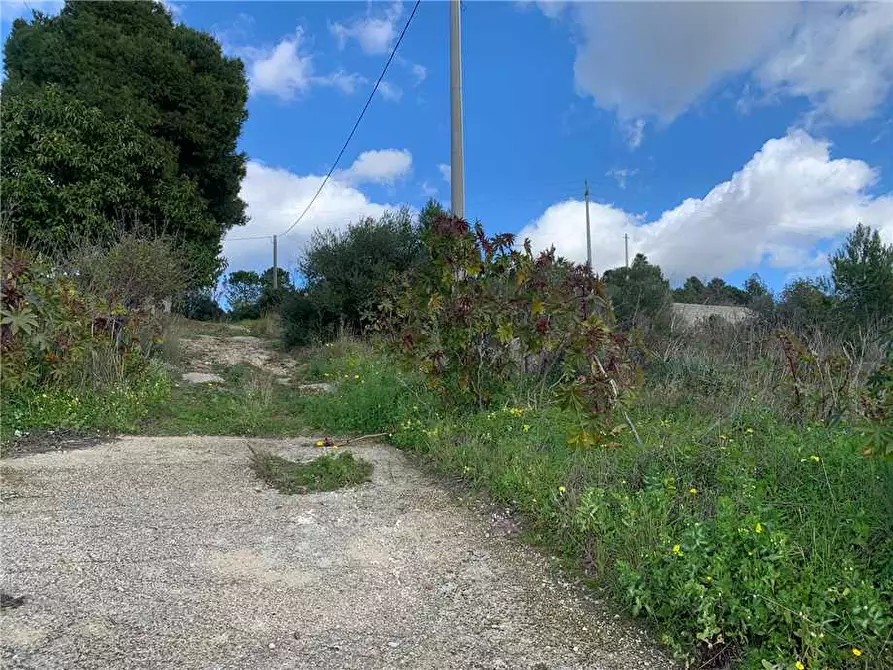 Immagine 2 di Terreno in vendita  in Loc. San Corrado/Baronazzo, sn a Noto