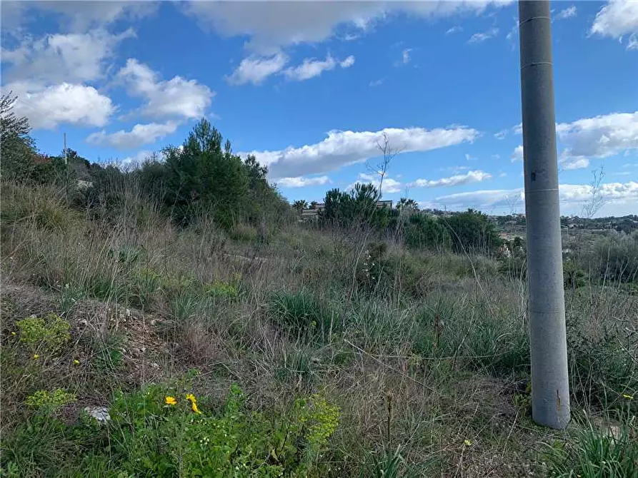 Immagine 3 di Terreno in vendita  in Loc. San Corrado/Baronazzo, sn a Noto
