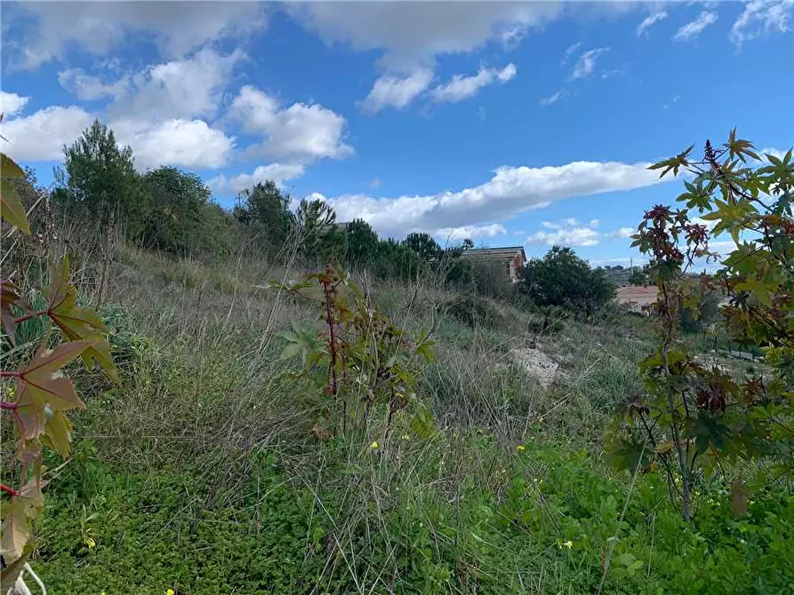 Immagine 5 di Terreno in vendita  in Loc. San Corrado/Baronazzo, sn a Noto