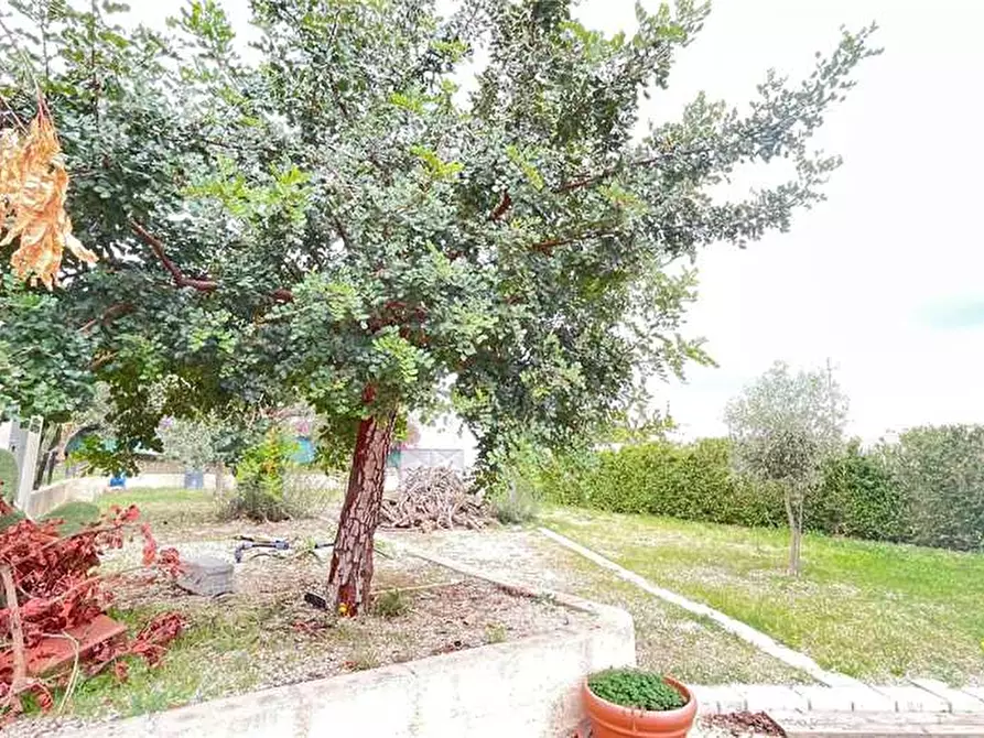 Immagine 10 di Capannone industriale in vendita  in Loc. C/da Scardina, sn a Rosolini