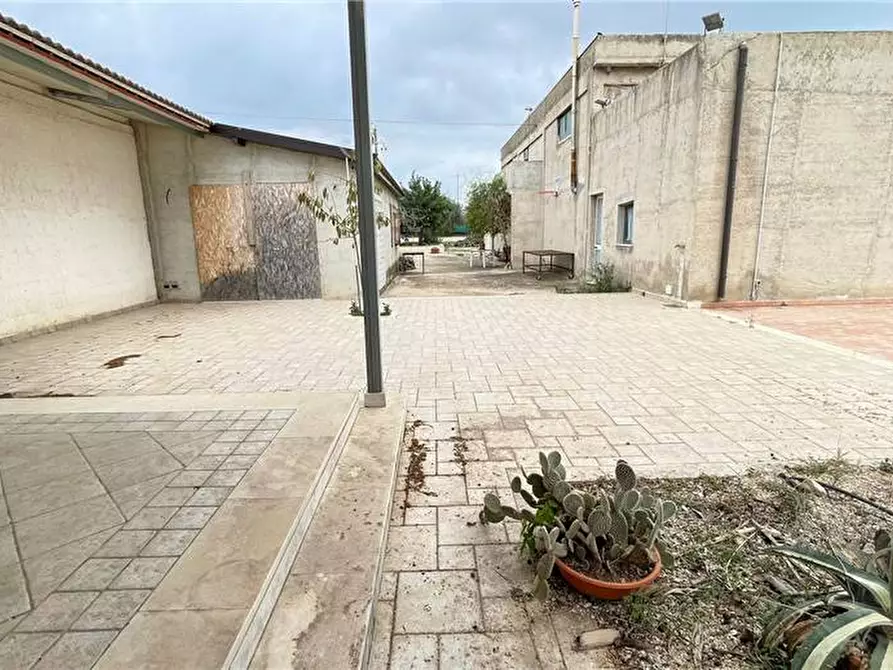 Immagine 6 di Capannone industriale in vendita  in Loc. C/da Scardina, sn a Rosolini