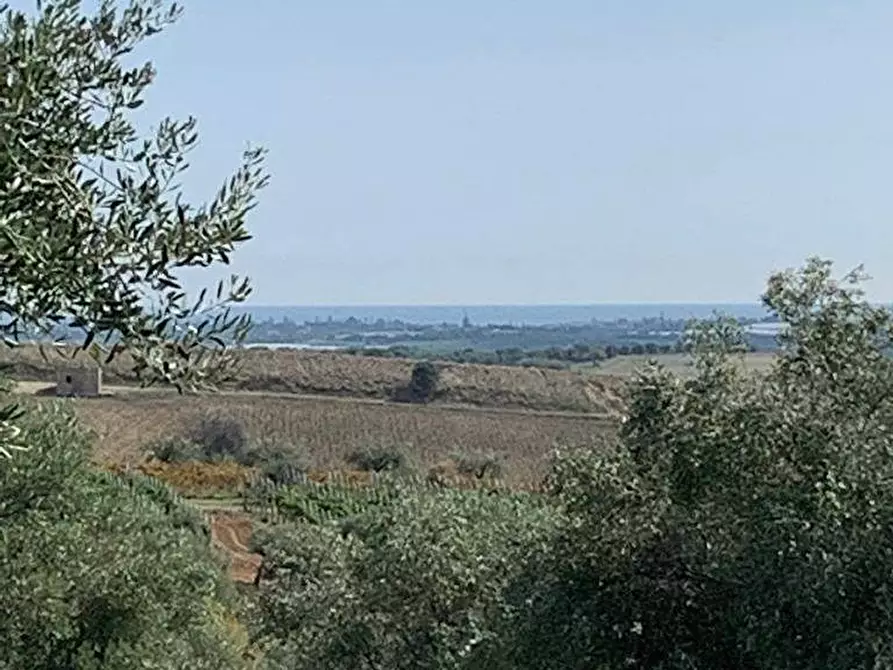 Immagine 5 di Terreno in vendita  in Loc. C/da Baroni, sn a Noto