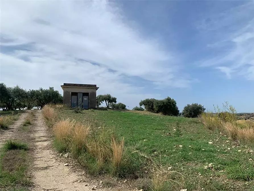 Immagine 6 di Terreno in vendita  in Loc. C/da Baroni, sn a Noto