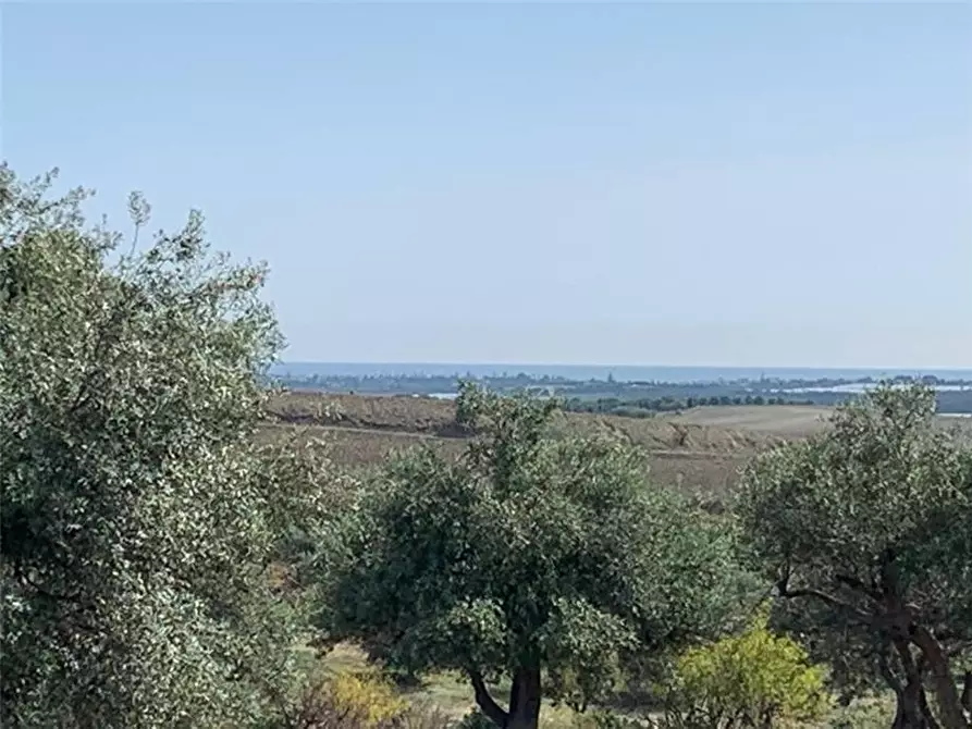 Immagine 8 di Terreno in vendita  in Loc. C/da Baroni, sn a Noto