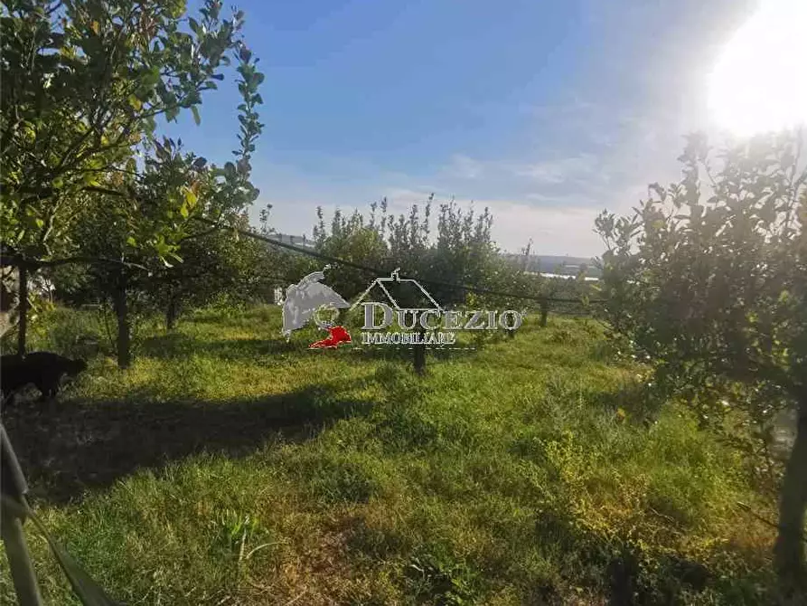 Immagine 11 di Terreno in vendita  in Loc. San Paolo, SN a Noto