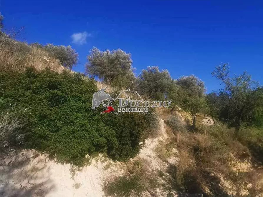 Immagine 13 di Terreno in vendita  in Loc. San Paolo, SN a Noto