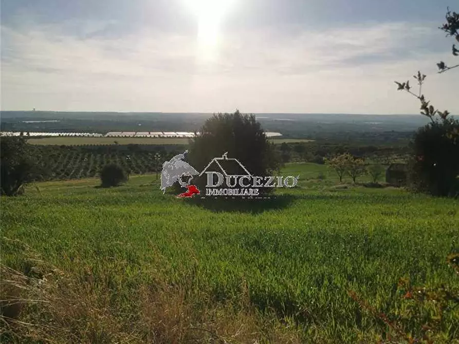 Immagine 2 di Terreno in vendita  in Loc. San Paolo, SN a Noto