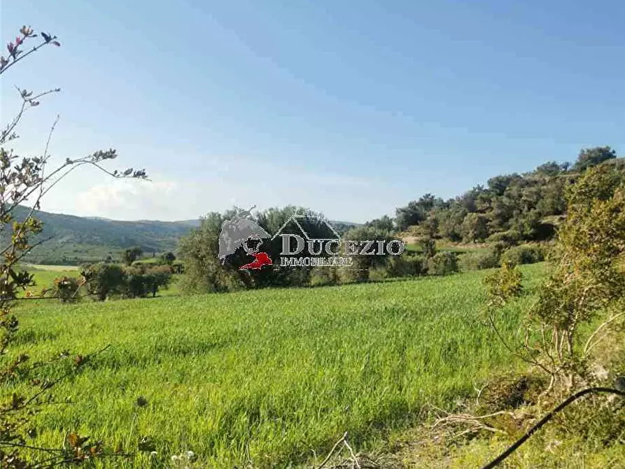 Immagine 3 di Terreno in vendita  in Loc. San Paolo, SN a Noto