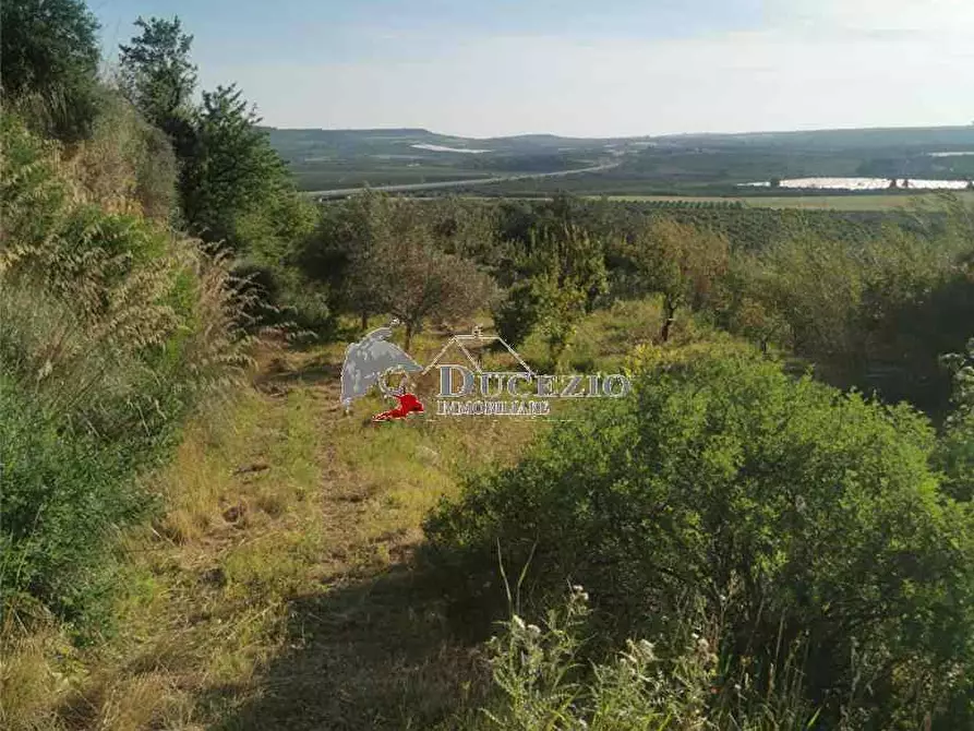 Immagine 4 di Terreno in vendita  in Loc. San Paolo, SN a Noto