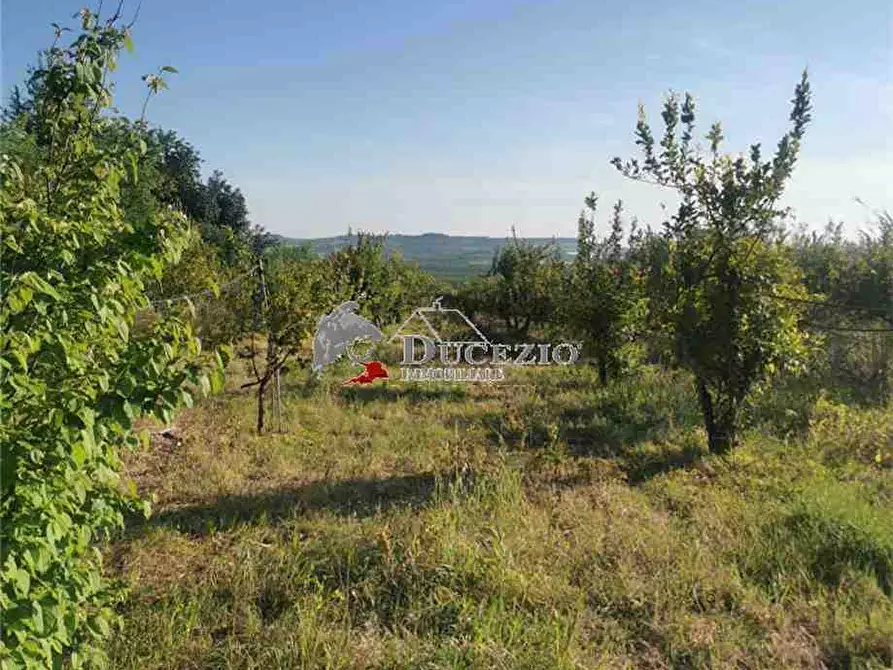 Immagine 5 di Terreno in vendita  in Loc. San Paolo, SN a Noto