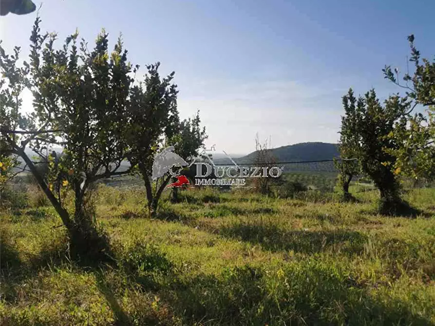 Immagine 6 di Terreno in vendita  in Loc. San Paolo, SN a Noto