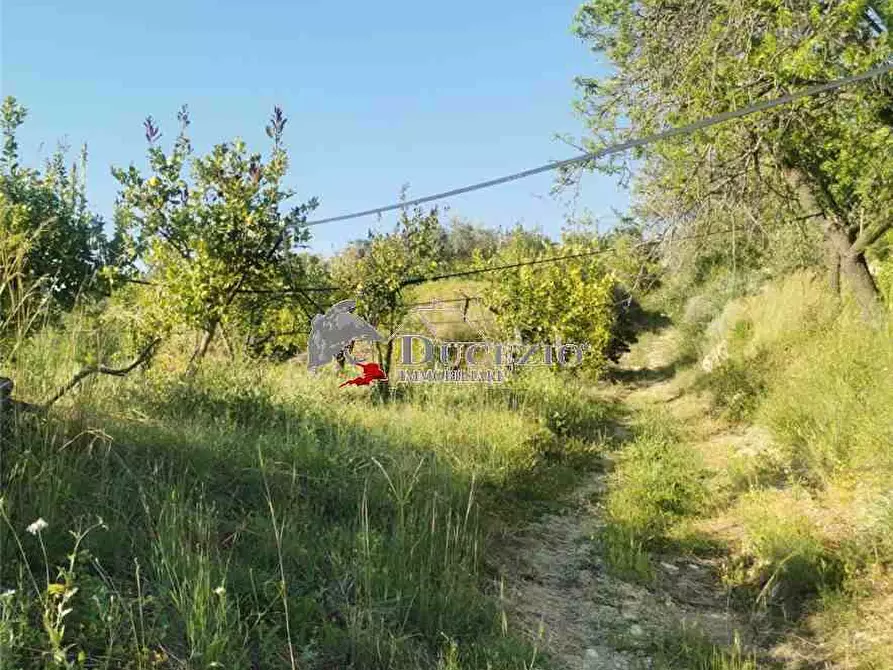Immagine 8 di Terreno in vendita  in Loc. San Paolo, SN a Noto