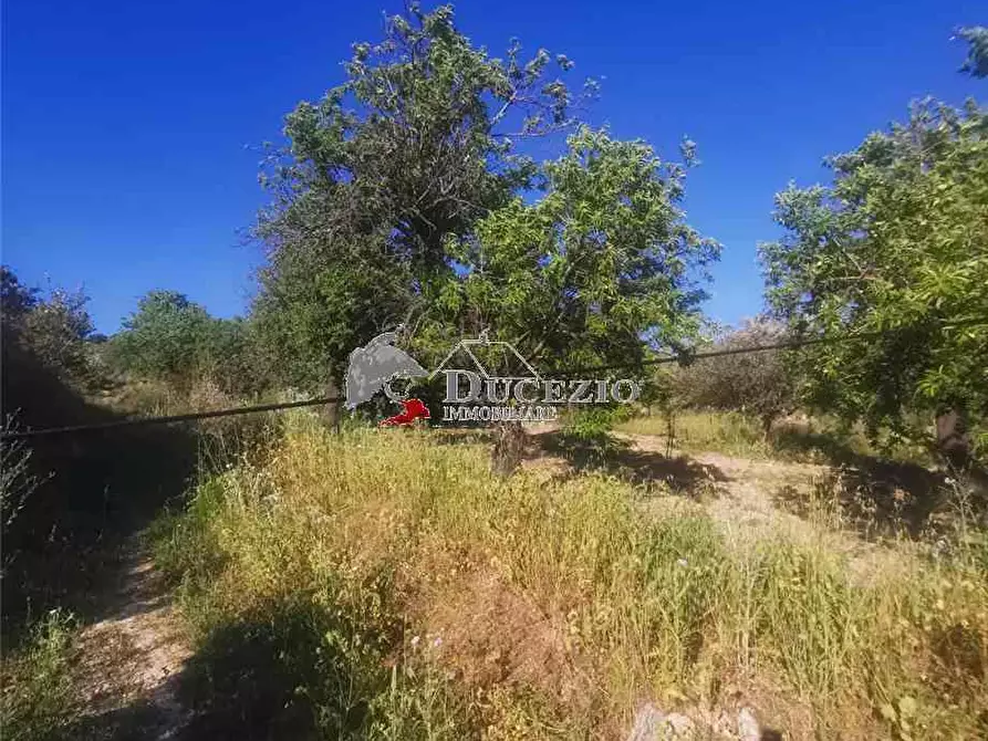 Immagine 9 di Terreno in vendita  in Loc. San Paolo, SN a Noto