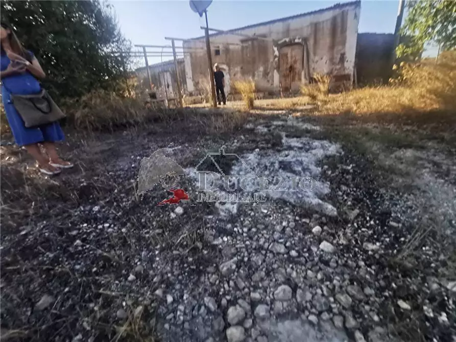 Immagine 4 di Rustico / casale in vendita  in Loc. C/da Pantanello, SN a Noto