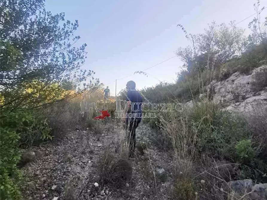 Immagine 6 di Rustico / casale in vendita  in Loc. C/da Pantanello, SN a Noto