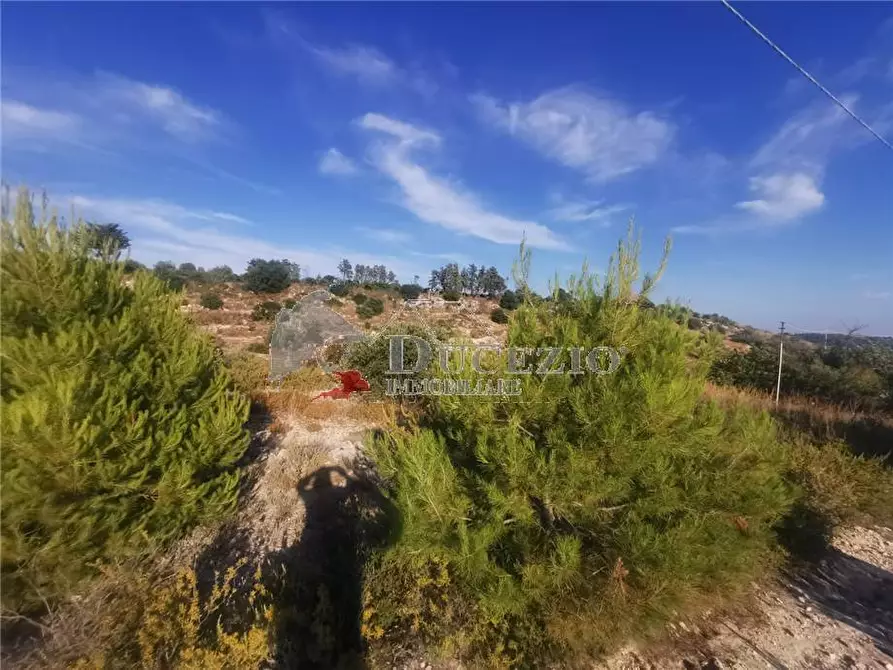 Immagine 8 di Rustico / casale in vendita  in Loc. C/da Pantanello, SN a Noto