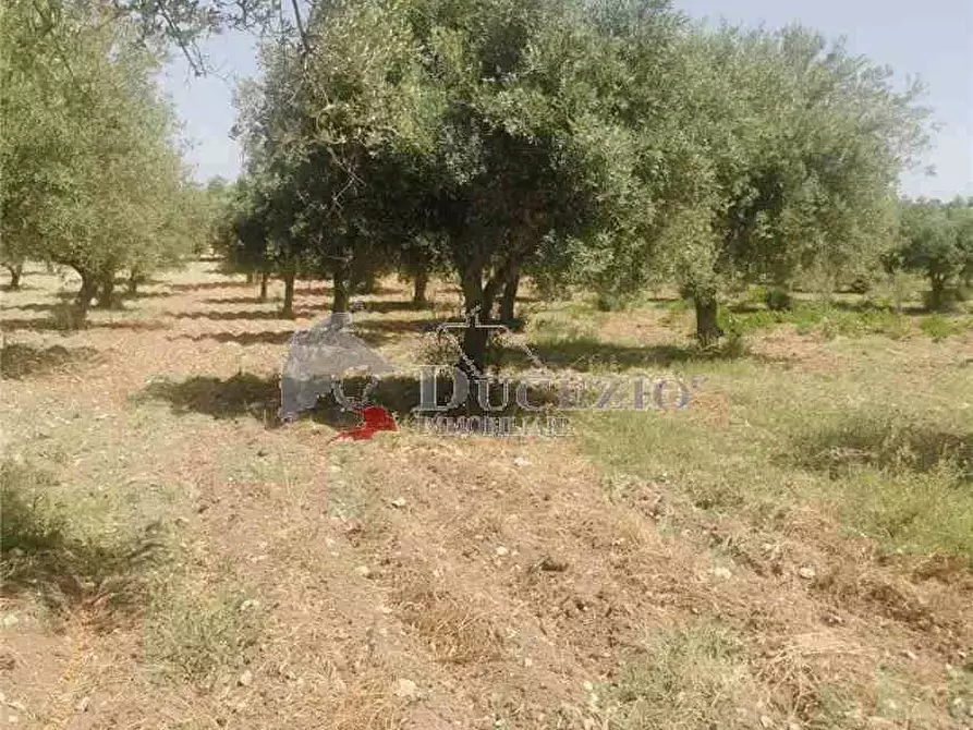 Immagine 10 di Terreno in vendita  in Loc. CDA BUFALEFI, SN a Noto