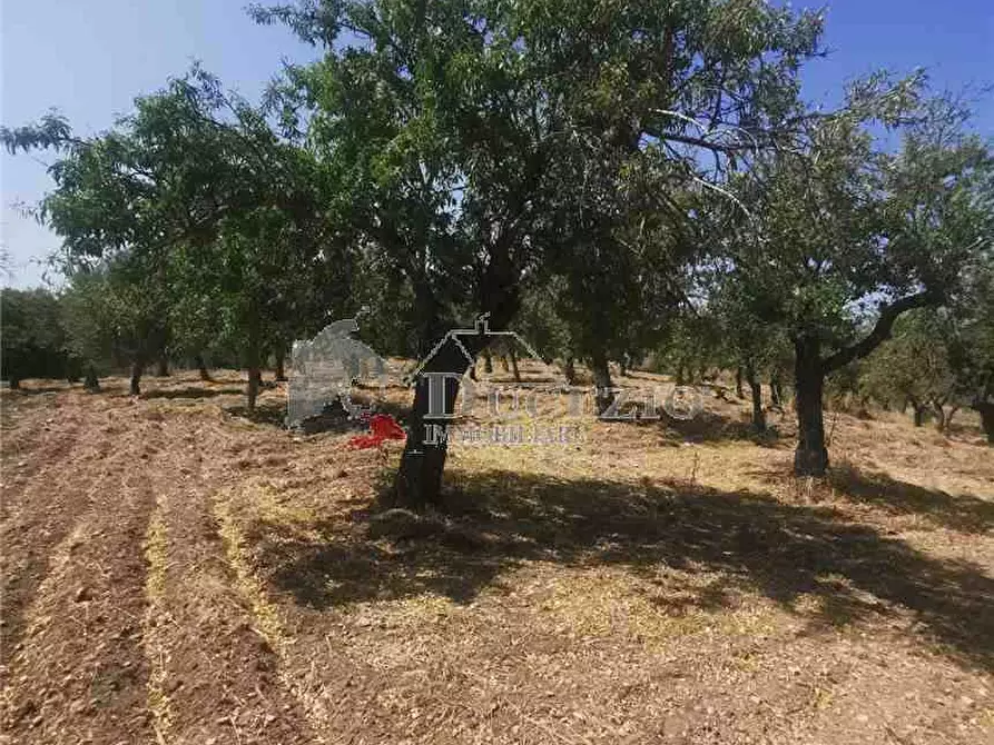 Immagine 4 di Terreno in vendita  in Loc. CDA BUFALEFI, SN a Noto