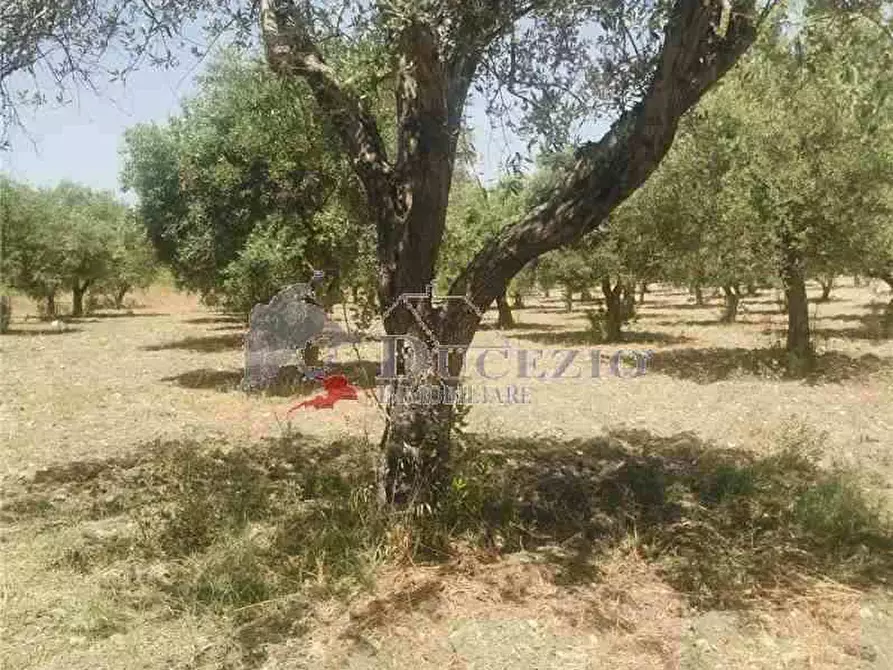 Immagine 6 di Terreno in vendita  in Loc. CDA BUFALEFI, SN a Noto
