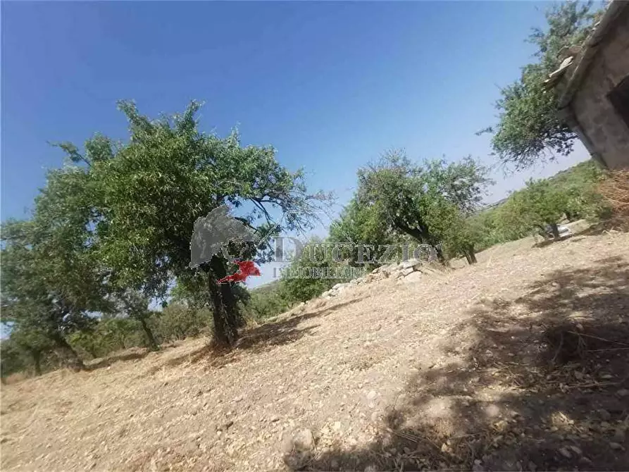 Immagine 8 di Terreno in vendita  in Loc. CDA BUFALEFI, SN a Noto