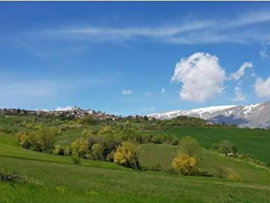 Immagine 4 di Villa in vendita  in Loc. Comunale Saliera, SN a Gessopalena