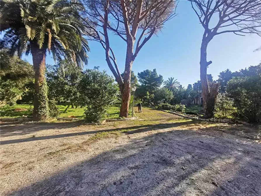 Immagine 5 di Villa in vendita  in Loc. Zona Isola, SN a Siracusa