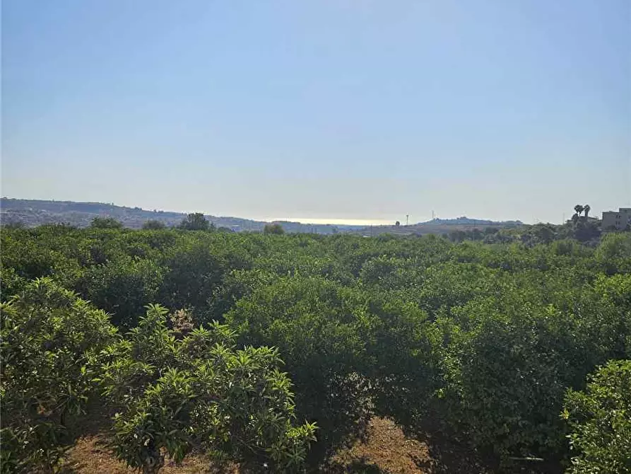 Immagine 12 di Villa in vendita  in Loc. Madonna Marina, sn a Noto