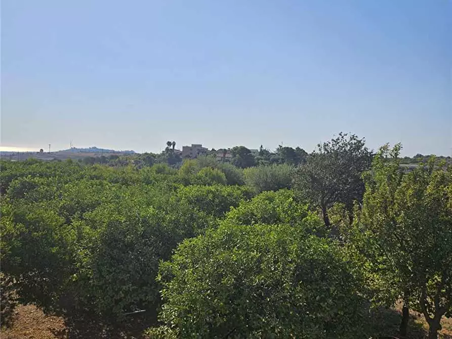 Immagine 8 di Villa in vendita  in Loc. Madonna Marina, sn a Noto